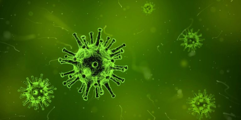 virus 1812092 1920 1