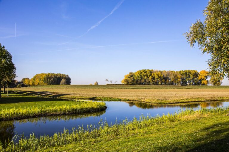 Bravo Verhuizingen Blog Gemeente Rucphen